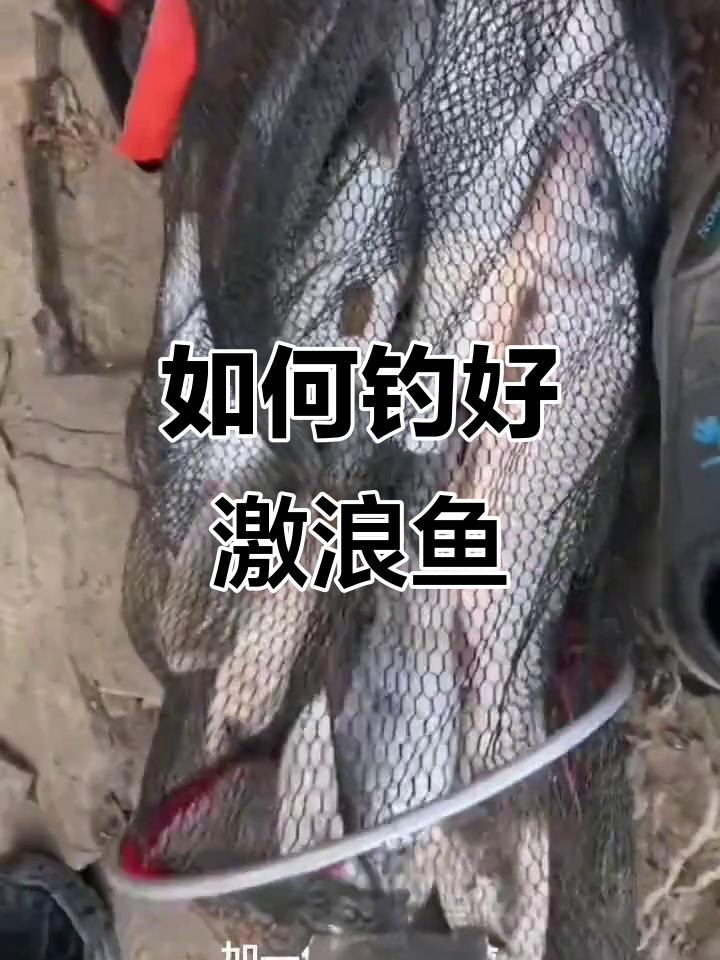 钓激浪鱼的技巧与装备搭配，轻松上手！