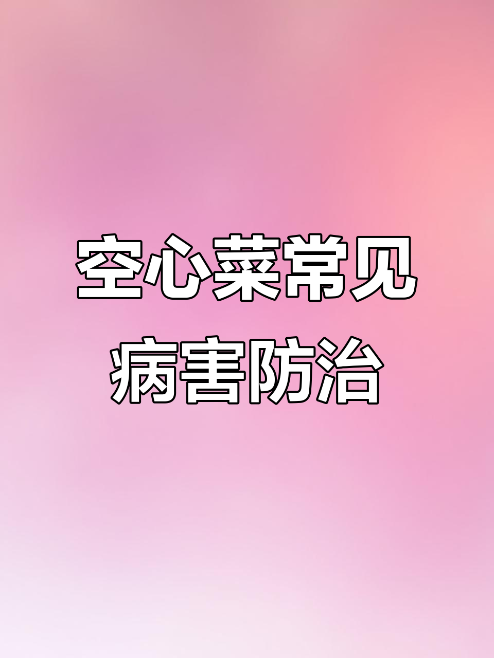 空心菜病害全解析：炭疽、白锈病等防治技巧