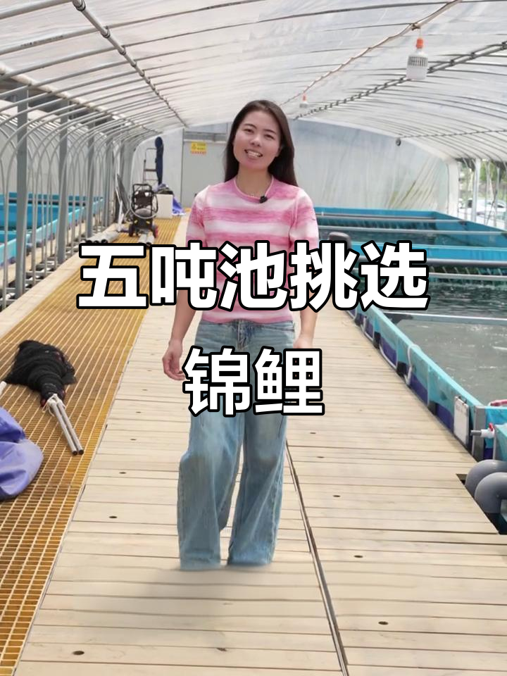 女鱼友现场选锦鲤,五吨池子挑十二尾心仪之鱼
