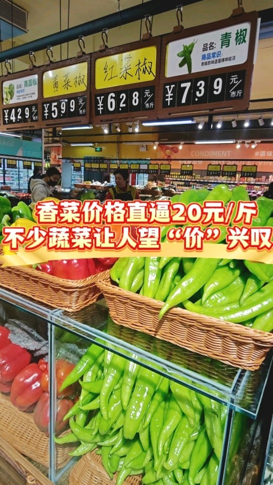 俺们淄博丨香菜价格直逼20元/斤 不少蔬菜让人望“价”兴叹!