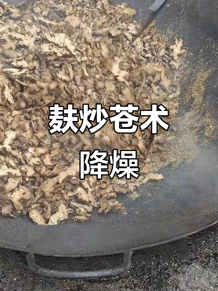 苍术炮制技巧:如何降低燥性,提升药效