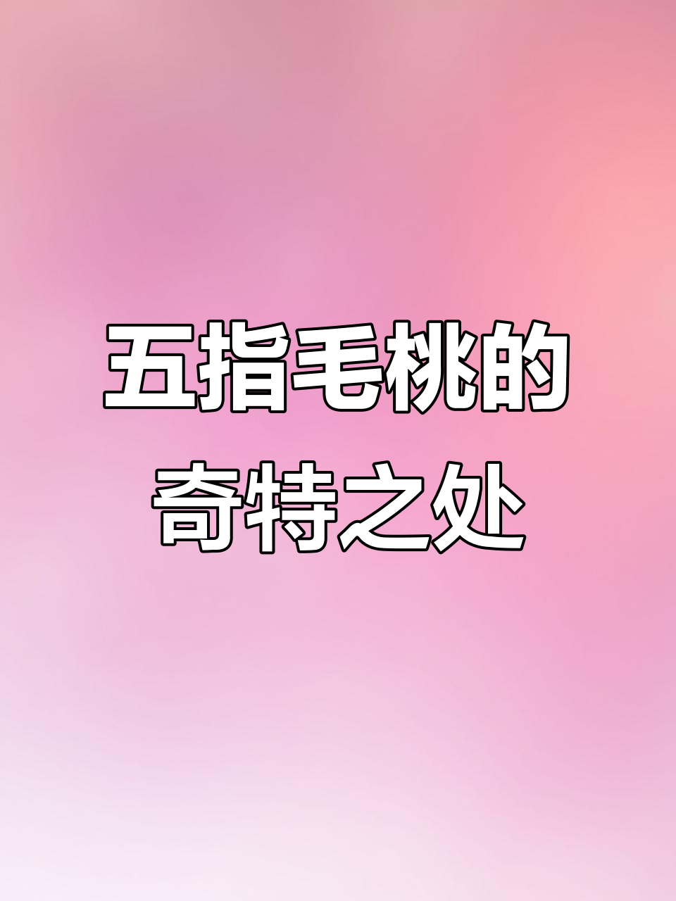 五指毛桃:叶片像手指,果实似无花果,根茎煲汤香气浓郁