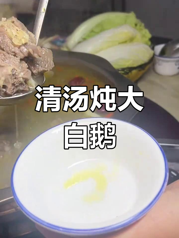 马龙清汤炖大鹅,本味十足