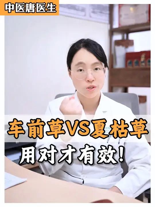车前草 vs 夏枯草,用对才有效!