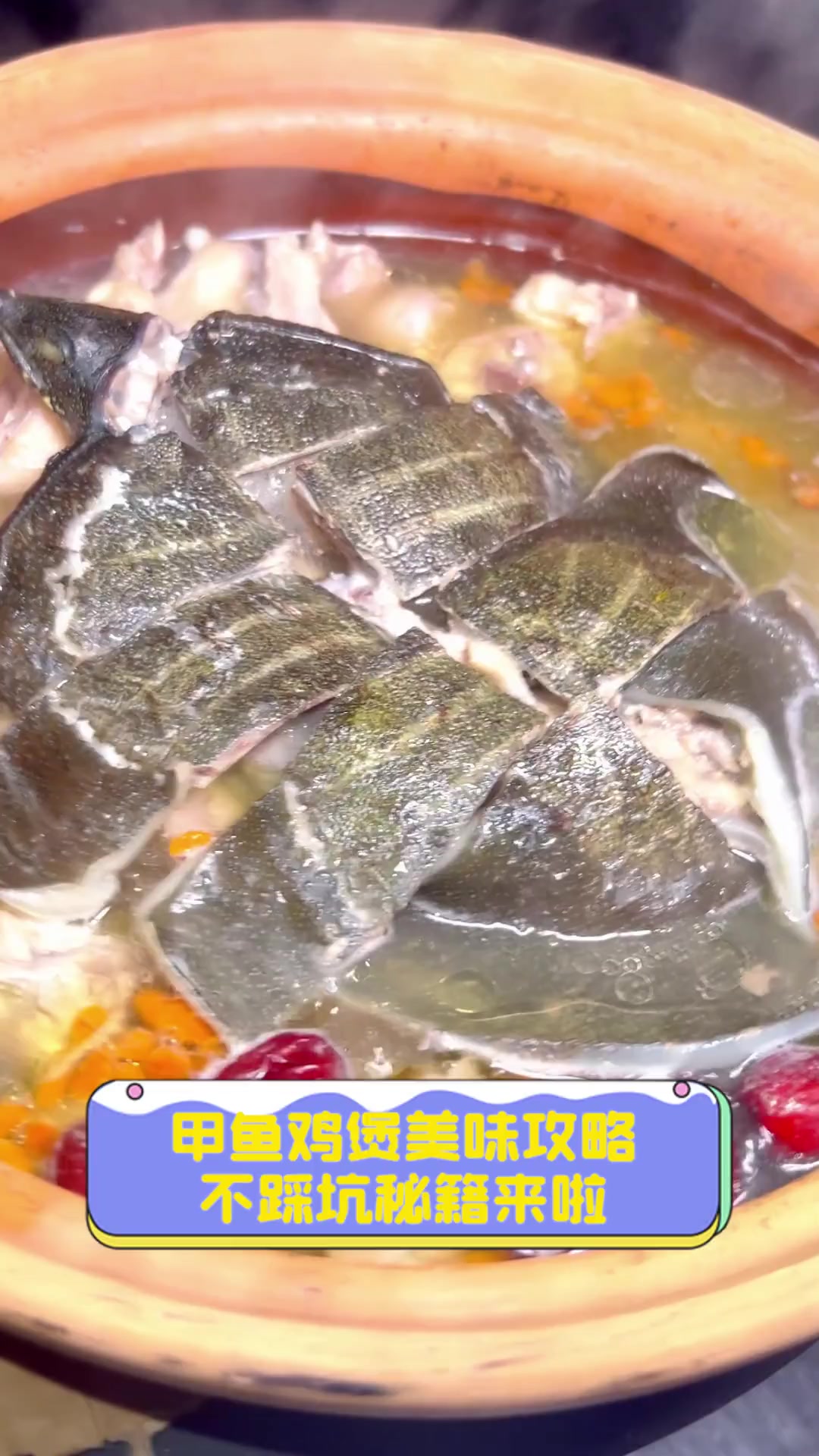甲鱼鸡煲美味攻略,不踩坑秘籍来啦