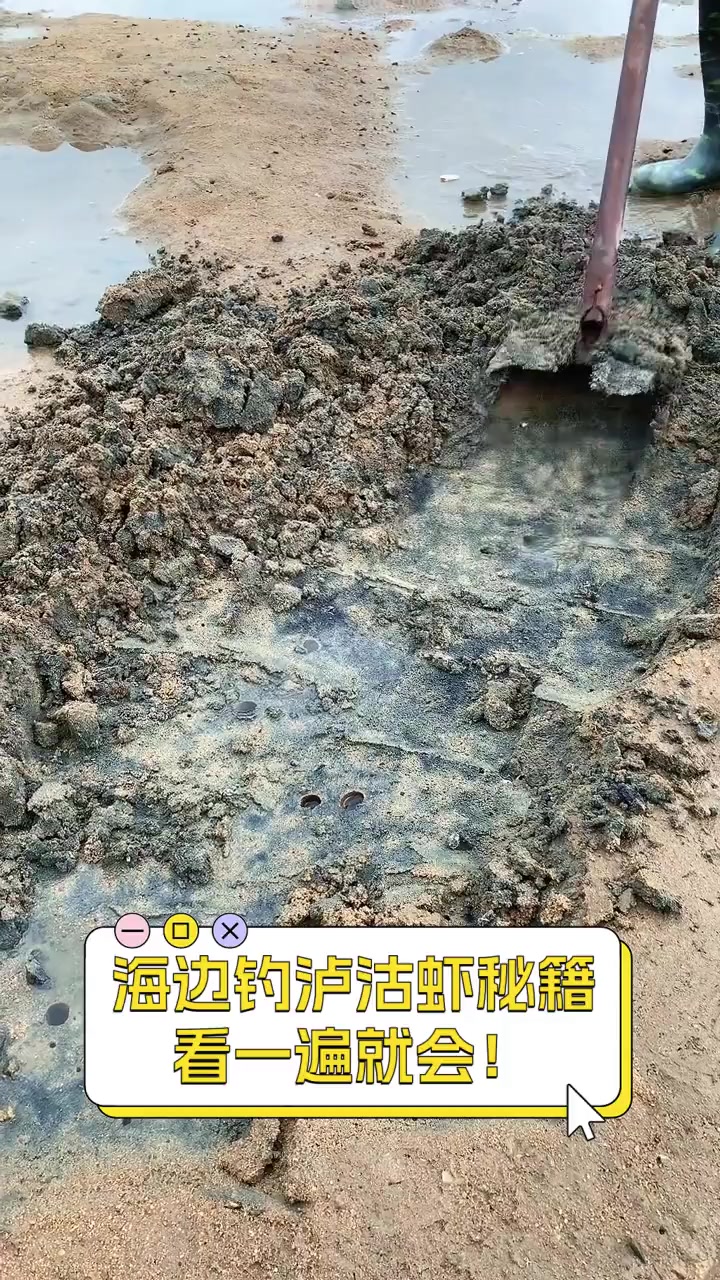 海边钓泸沽虾秘籍,看一遍就会!