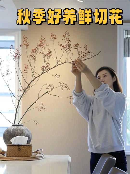 适合秋季,花期长又好养的鲜切花
