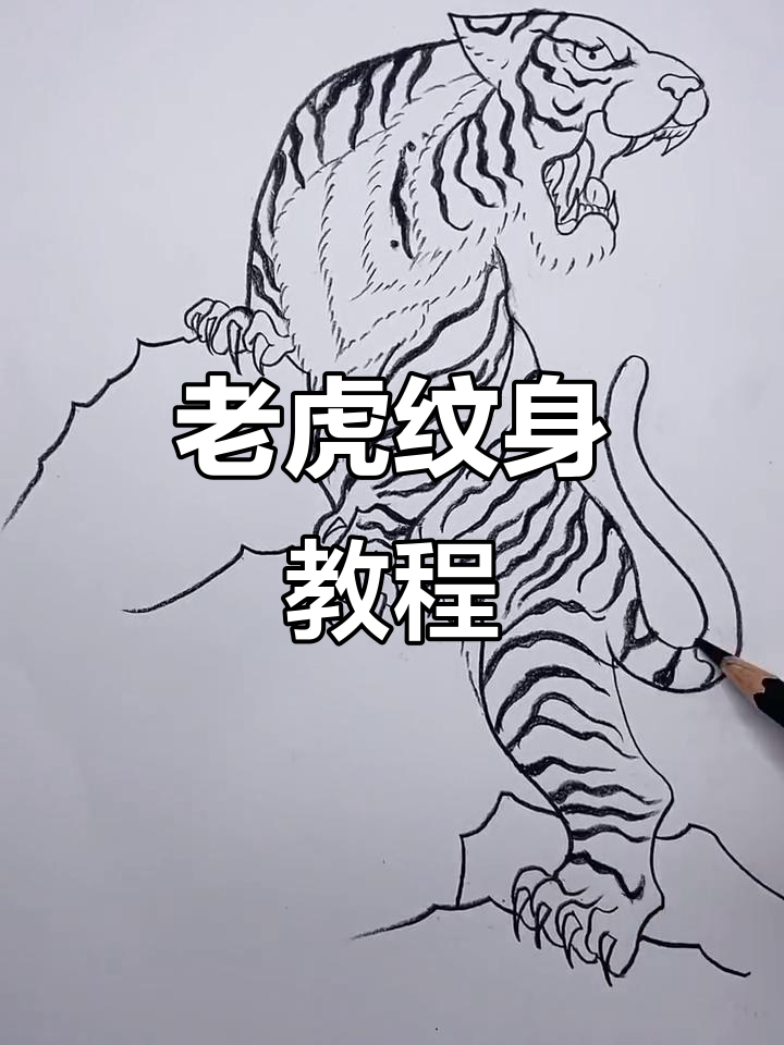 老虎纹身手稿绘制技巧,从眼睛到尾巴全解析