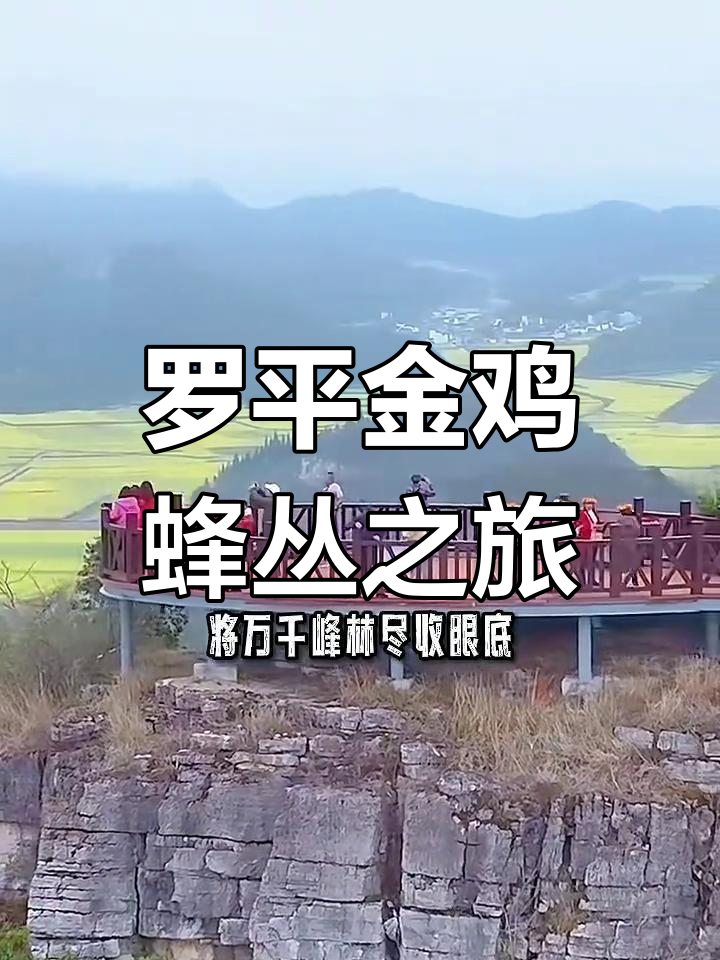 云南罗平金鸡峰丛:油菜花海与枫林美景尽收眼底