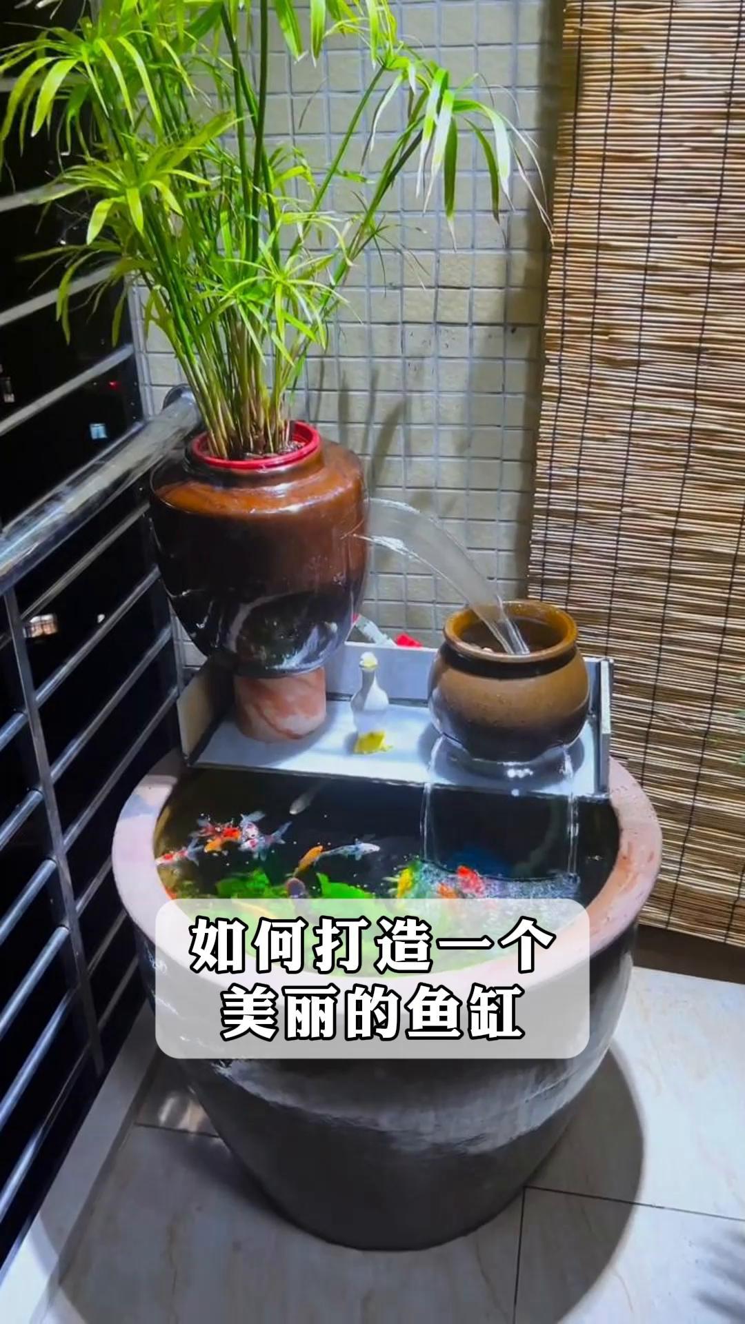 如何打造一个美丽的鱼缸