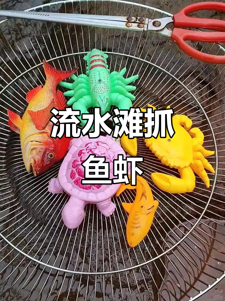小河中发现奇特卡通龟,鱼虾蟹大丰收
