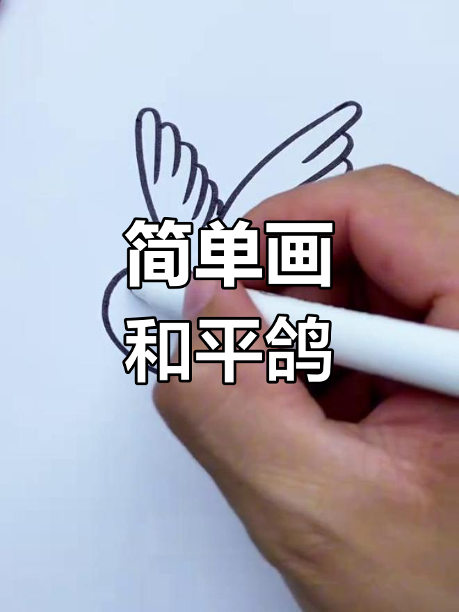 国庆节和平鸽简笔画教程