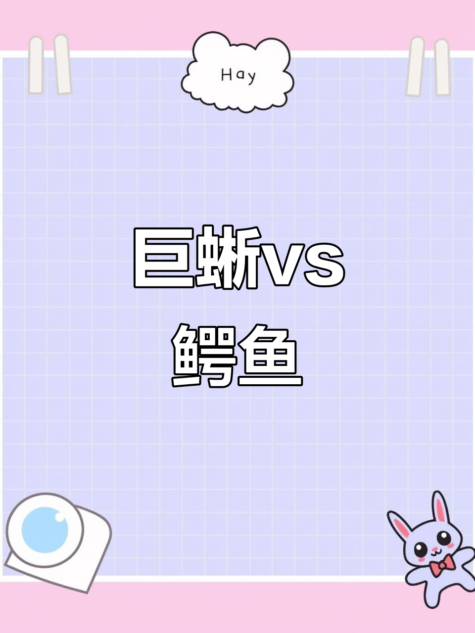 科莫多巨蜥与鳄鱼对决,谁能笑到最后?