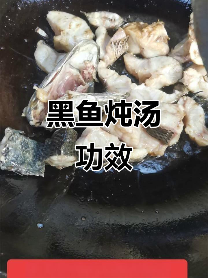 黑鱼炖冬瓜,据说能促进伤口愈合,效果如何?
