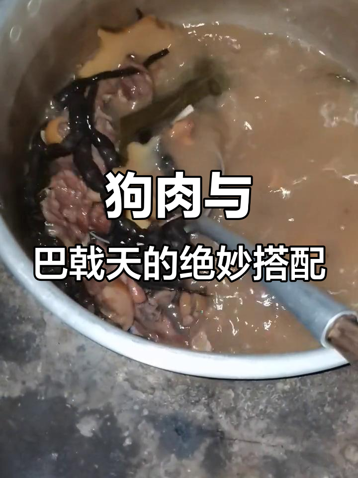 狗肉配巴戟天,补肾壮腰效果佳