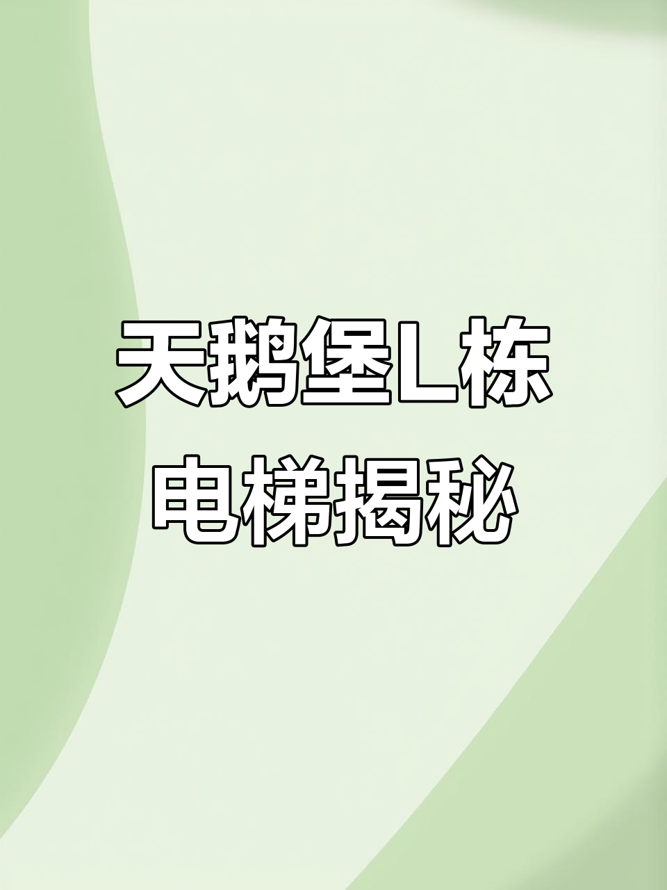 波托菲诺天鹅堡L栋2单元的奢华奥的斯电梯体验