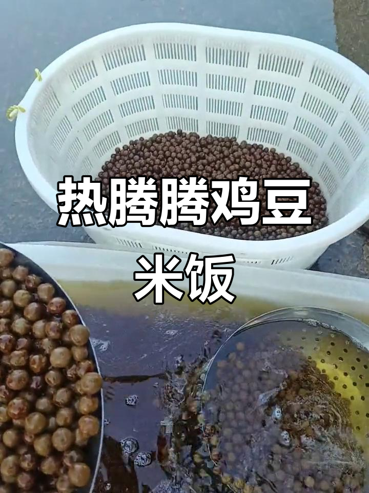 新鲜出锅的鸡头米,香气扑鼻!