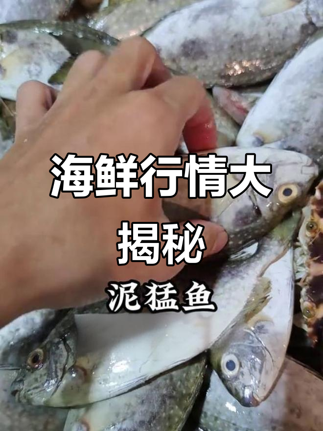 汕尾海鲜市场,各种鱼类价格一网打尽!