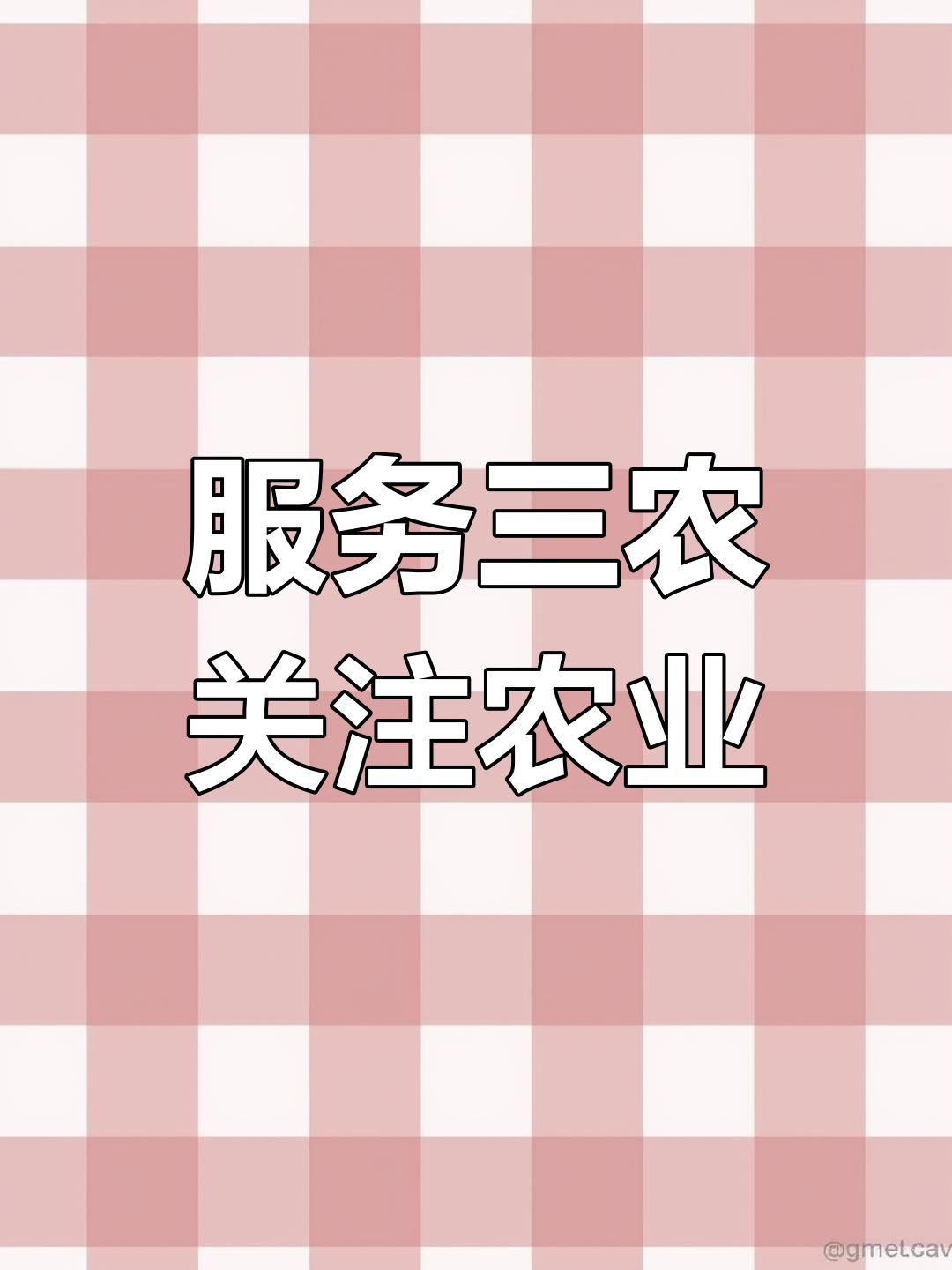 助力三农,土鸡鸡蛋价格波动背后的故事