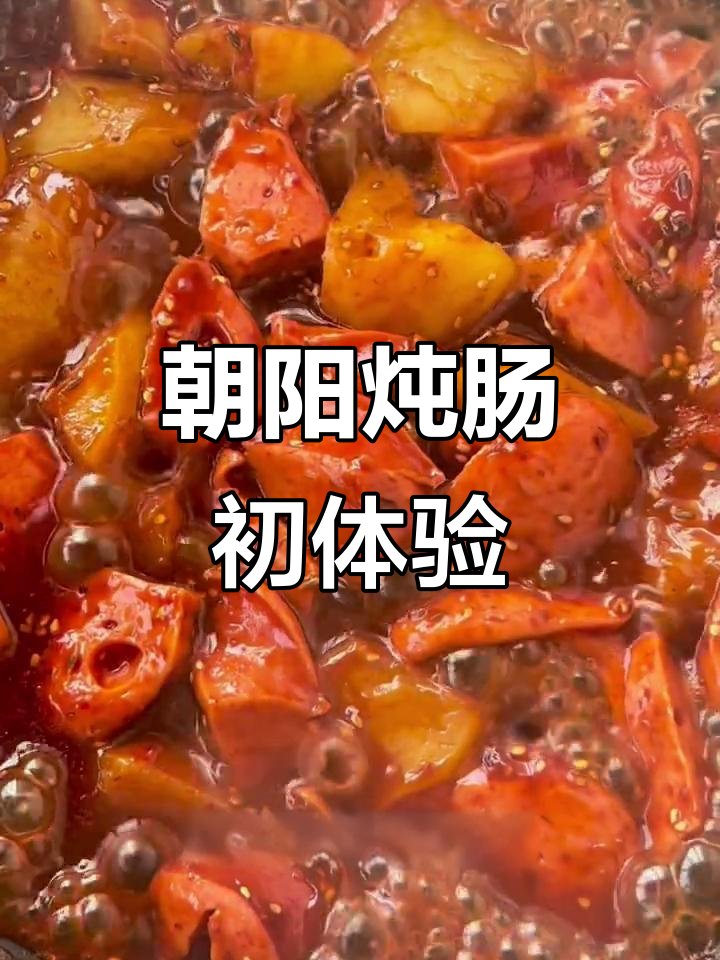 第一次做朝阳炖肠,味道超乎想象!