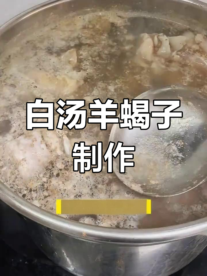 羊蝎子白汤做法详解,多种口味教程分享