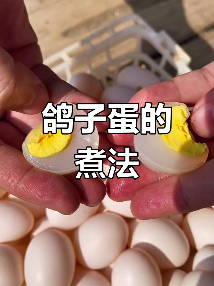 煮鸽子蛋看似简单,实则考验技巧,破皮也不影响口感