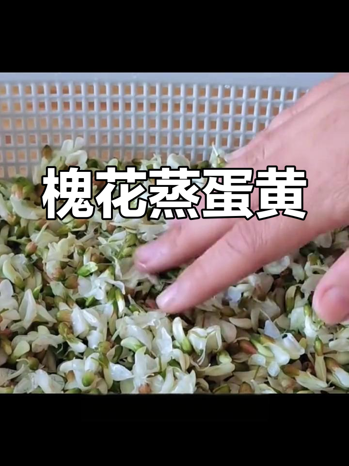 槐花蒸蛋,简单又美味!