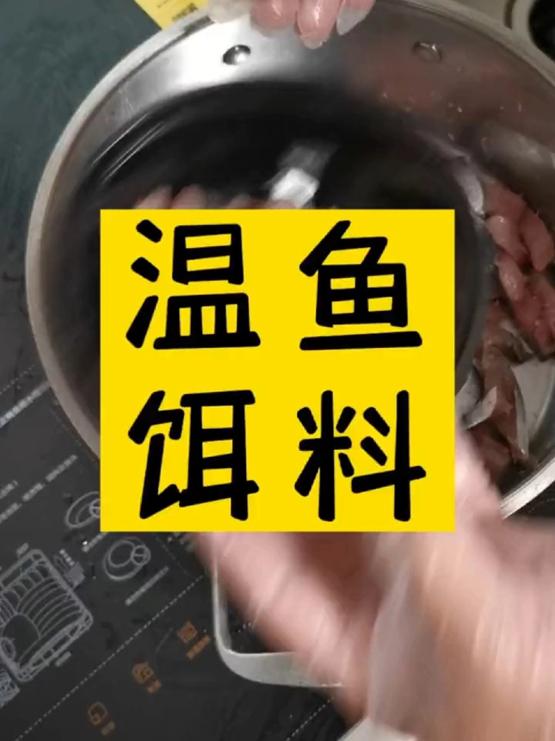 海钓秘制温鱼肉饵料