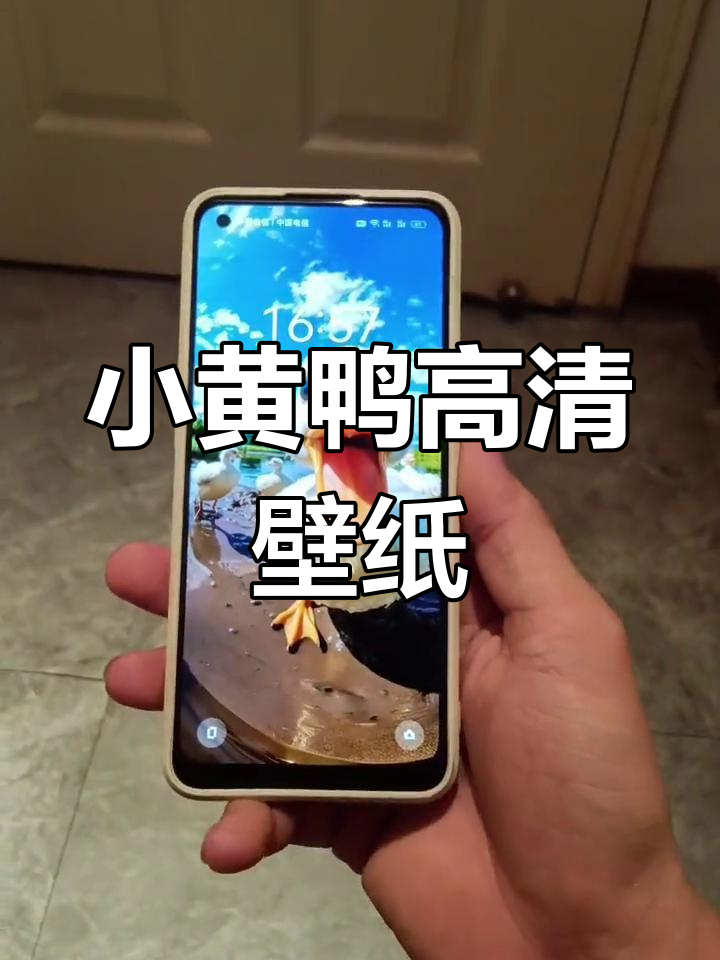 高清小黄鸭壁纸,色彩鲜艳可爱