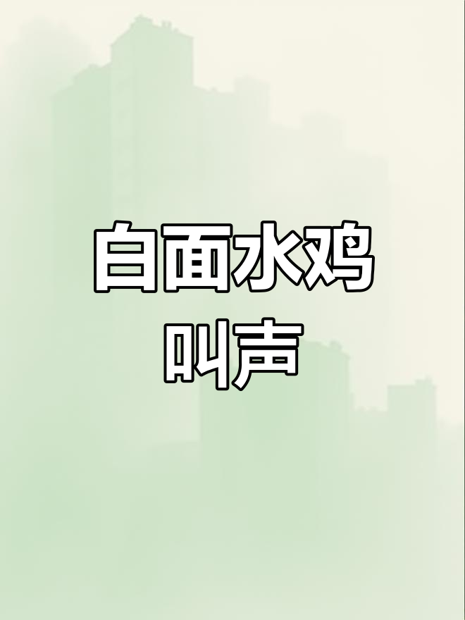 白面水鸡鸣叫,聆听自然美妙声音