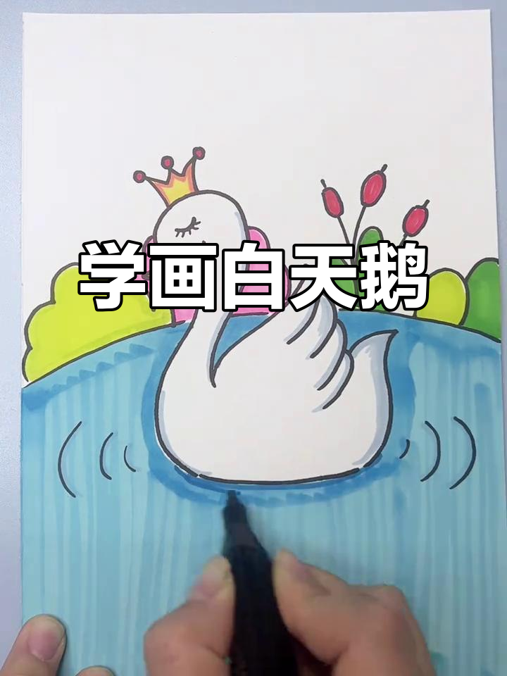 轻松学画白天鹅,简单步骤教你画出美丽天鹅