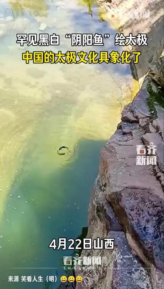 罕见黑白“阴阳鱼”绘太极