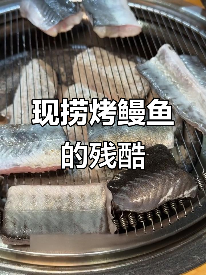 烤鳗鱼残忍真相大揭秘,现捞现杀的惊人做法