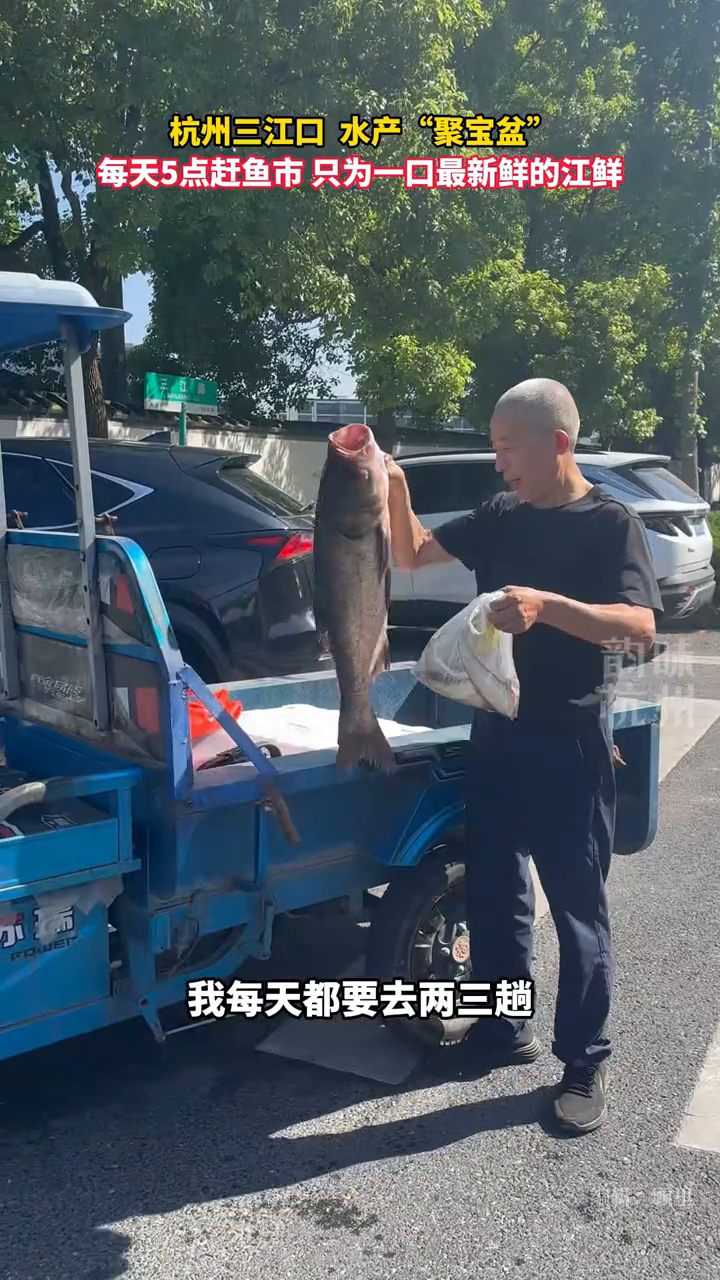 杭州三江口,水产“聚宝盆”,开渔期间每天五点准时来“抢鱼”
