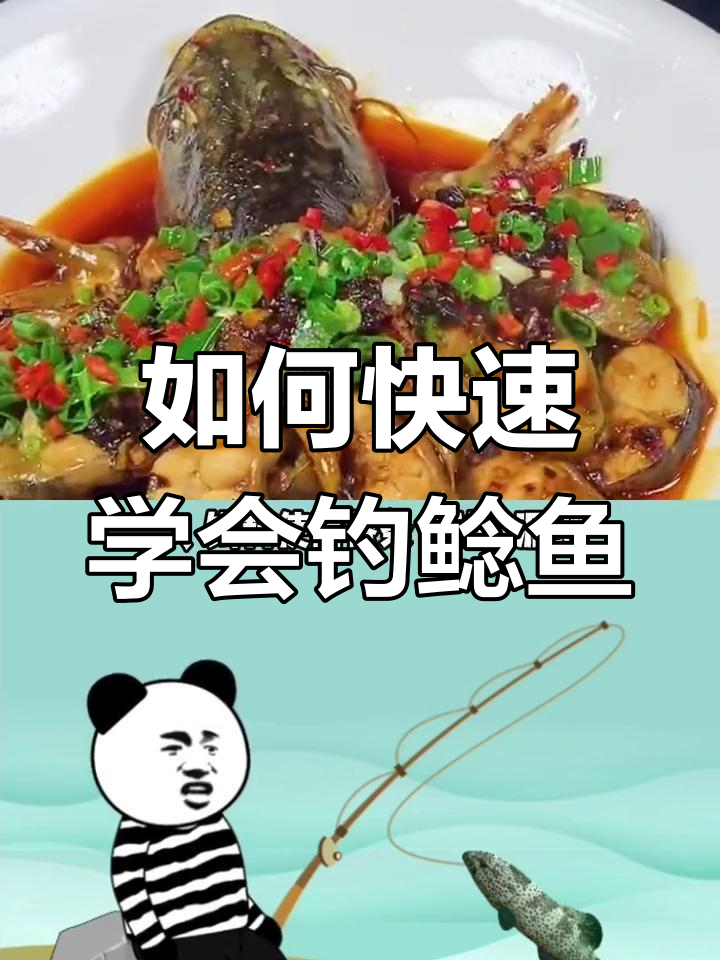 夏季钓鲶鱼技巧大揭秘,轻松掌握拖动逗钓法