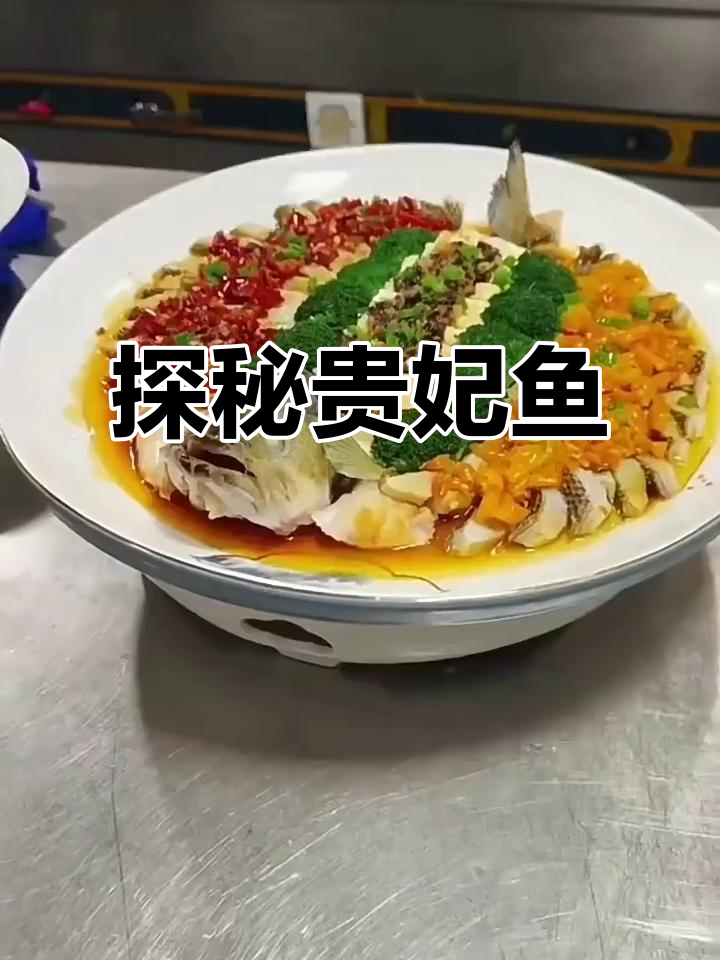 贵妃鱼的独特魅力,了解这种美丽的水生生物