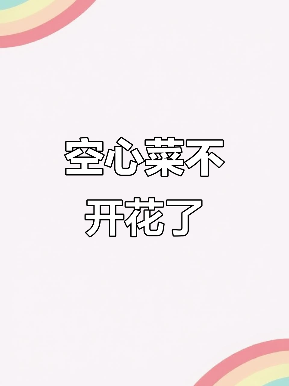 空心菜开花不再,喇叭花消失,水肥流失严重