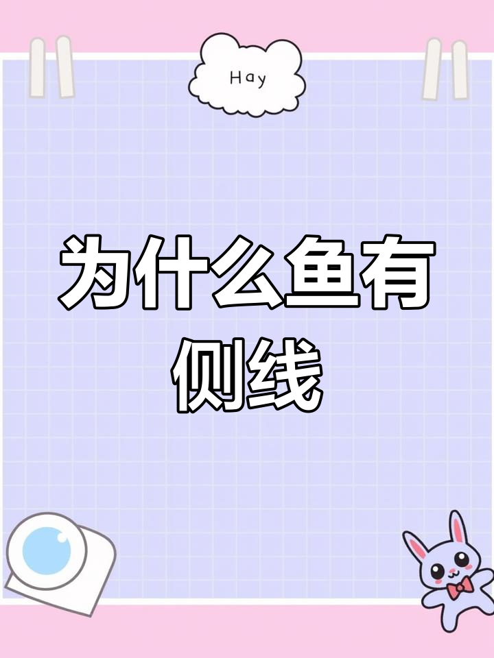 鱼侧线的作用与原理