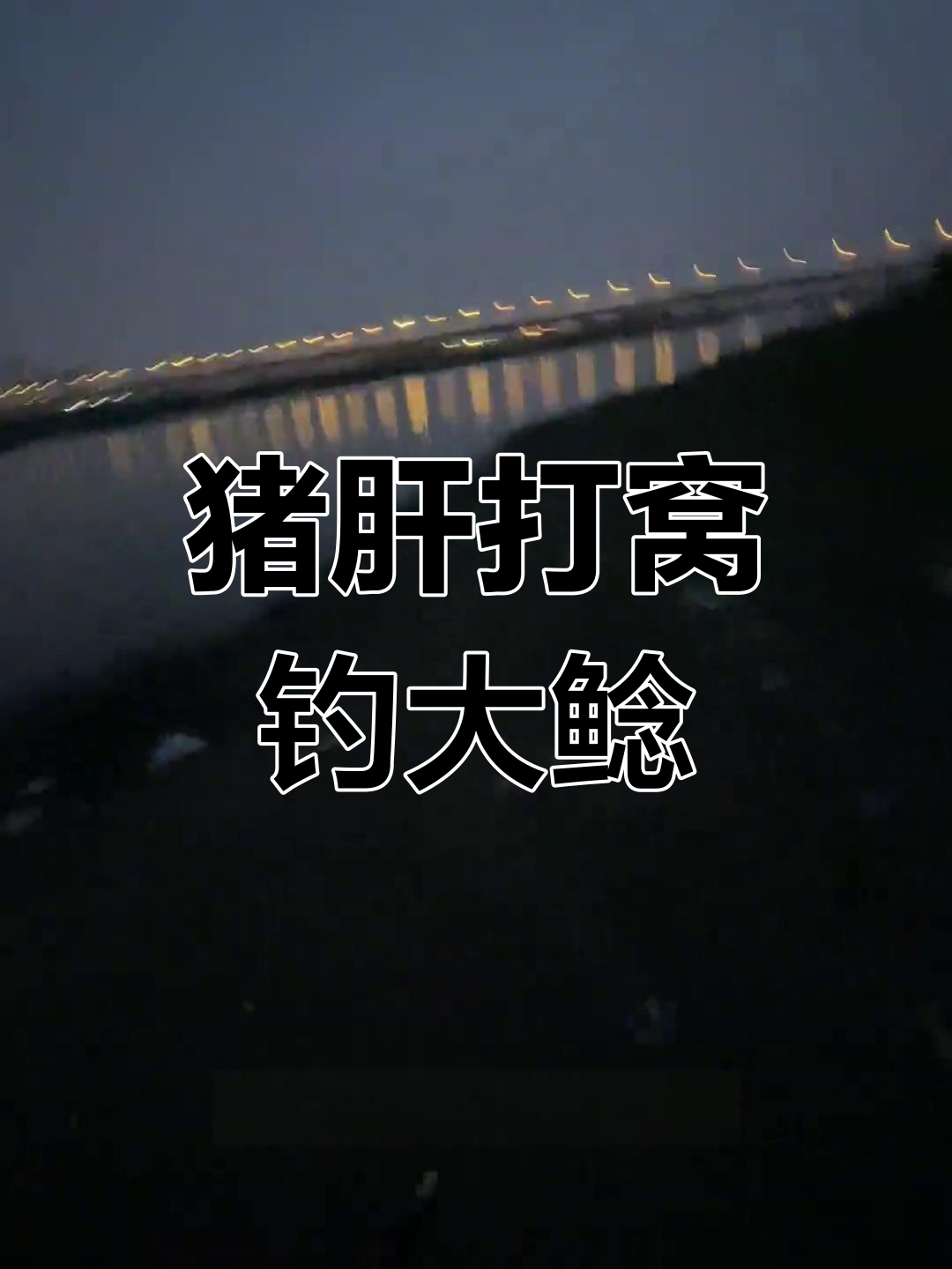 夜钓鲶鱼,猪肝打窝效果惊人!