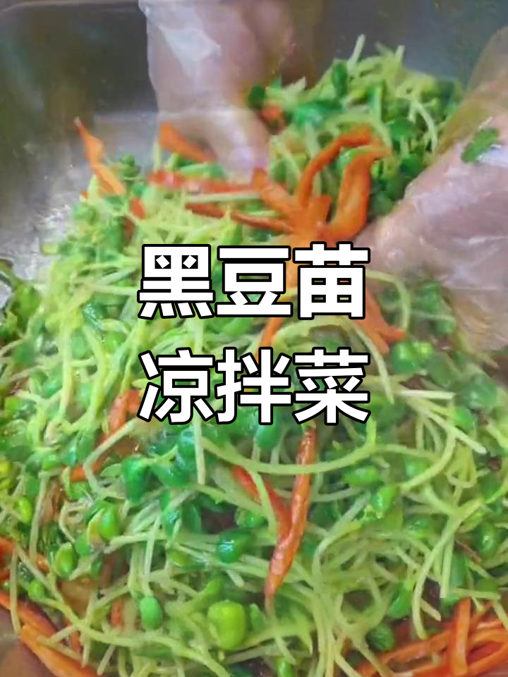 凉拌黑豆苗,清爽美味