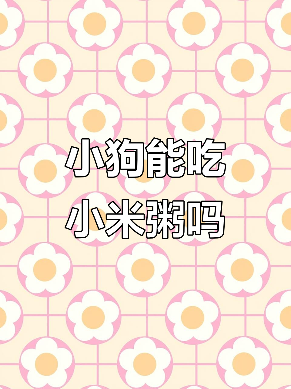 小狗能喝小米粥吗?了解自制狗粮的注意事项