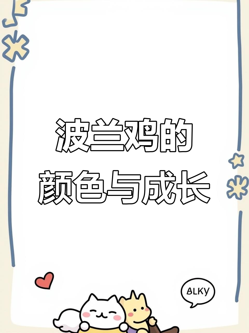 波兰鸡的美丽色彩与成长变化,白波兰、紫怀特等品种揭秘