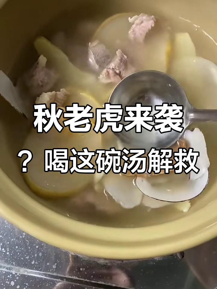 秋季润燥汤,雪梨、百合等食材搭配最合适
