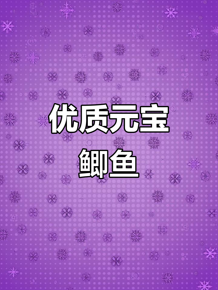 元宝鲫鱼新到货，短身高背品质保证