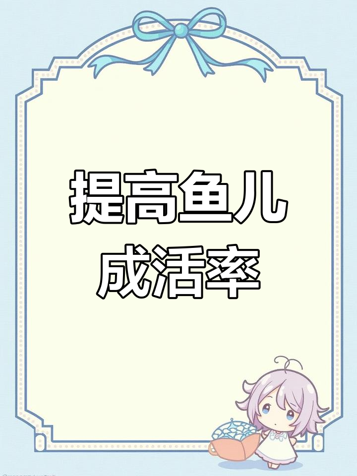 鱼缸氧气泵使用指南