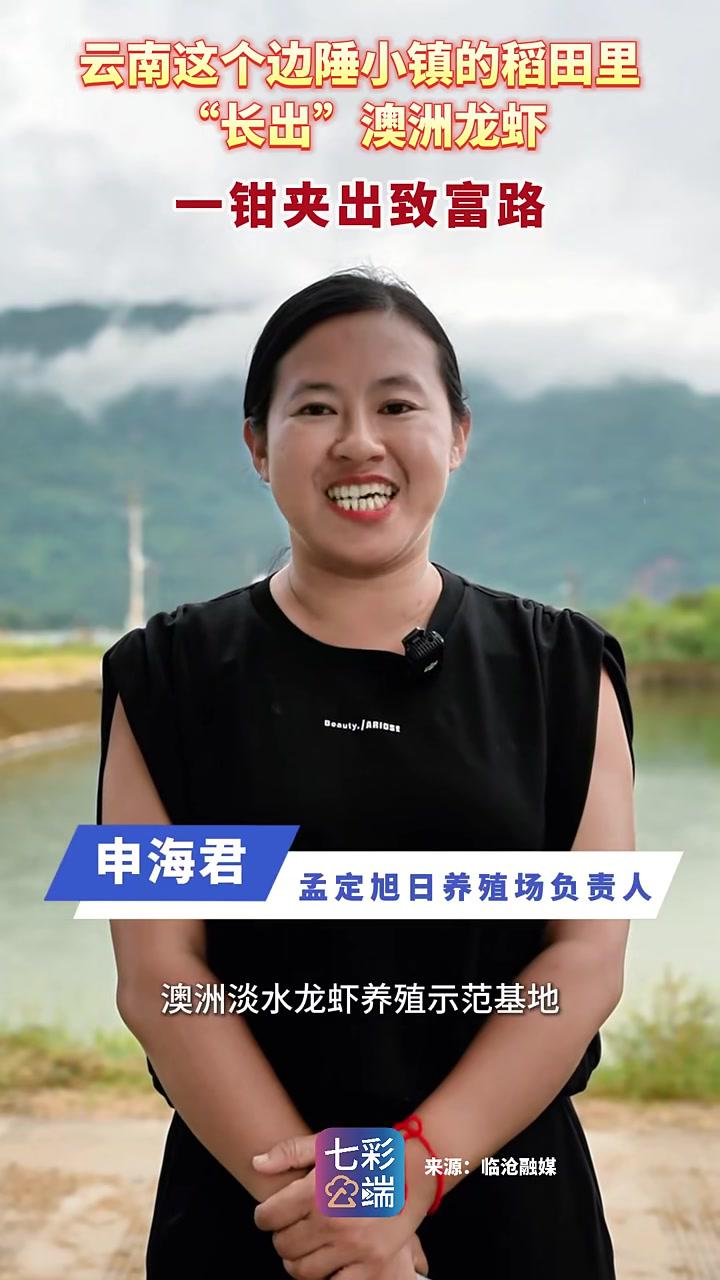 澳洲龙虾这一“虾中贵族”，产地：云南孟定