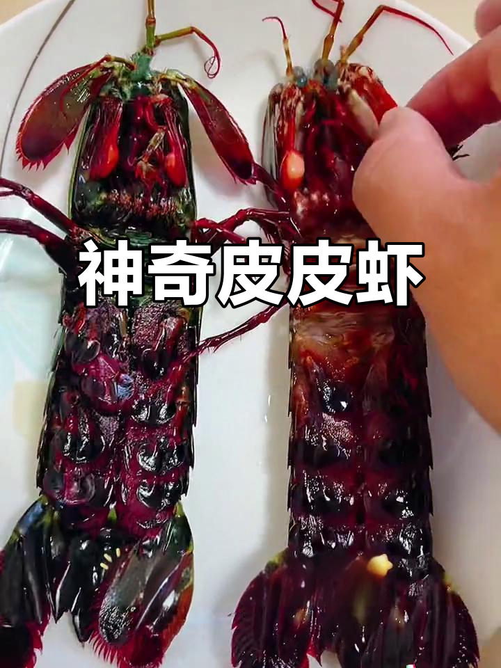 海南运回的皮皮虾,竟然有如此奇特操作!