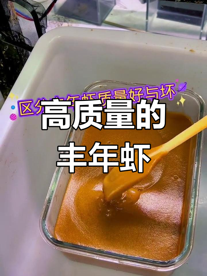 丰年虾质量如何辨别?喂鱼不浑水的秘密