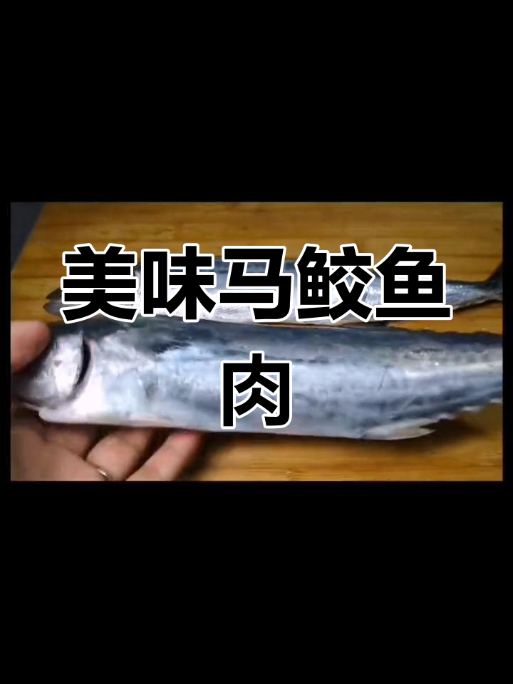 马鲛鱼:水中游泳健将,肉质紧实鲜美
