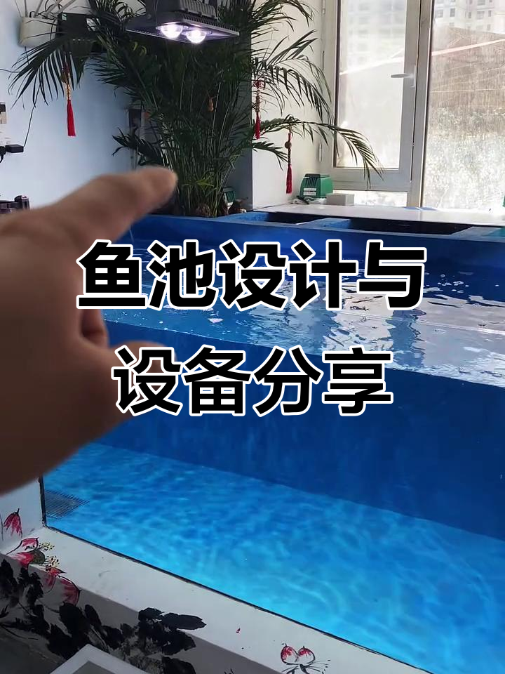 鱼池结构全解析:从过滤到水泵,一应俱全